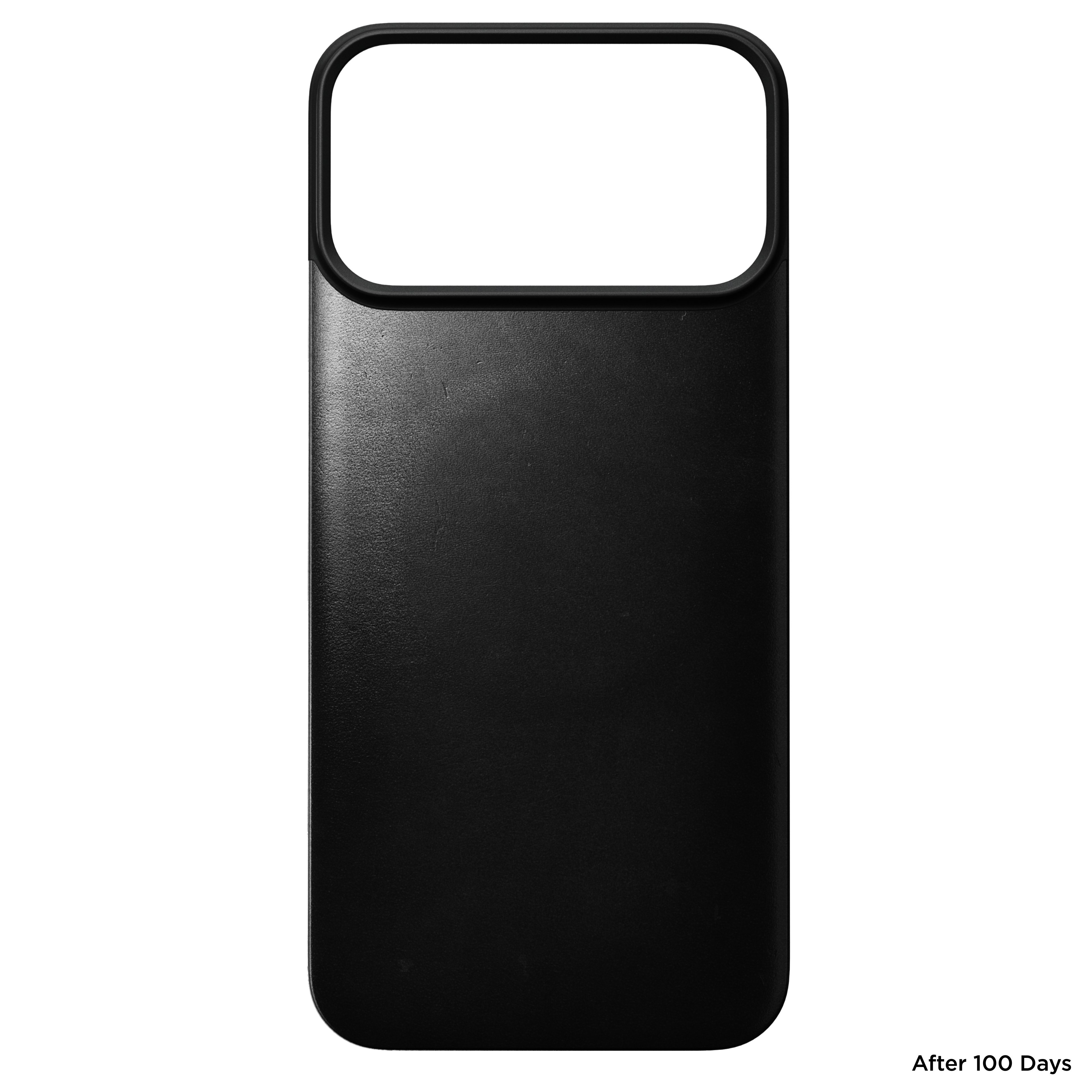 Magnetic Leather Back Case for iPhone 18 Pro Max 6.9 in Black Horween - Nomad