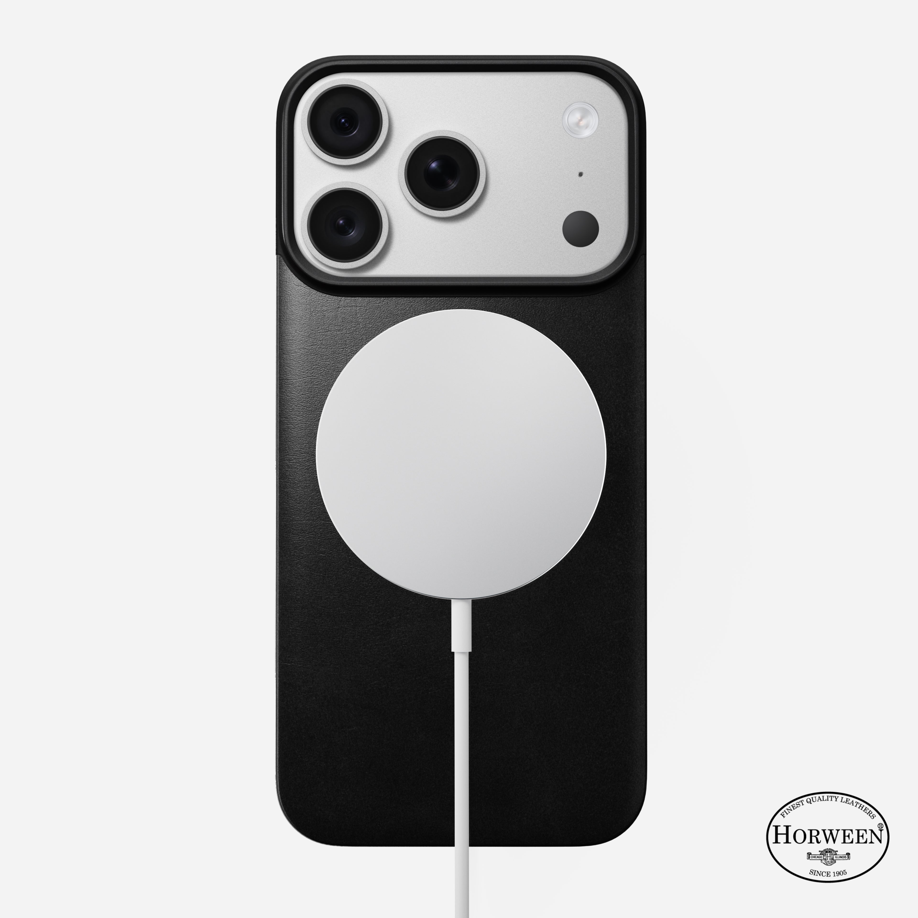 Magnetic Leather Back Case for iPhone 18 Pro 6.3 in Black Horween - Nomad