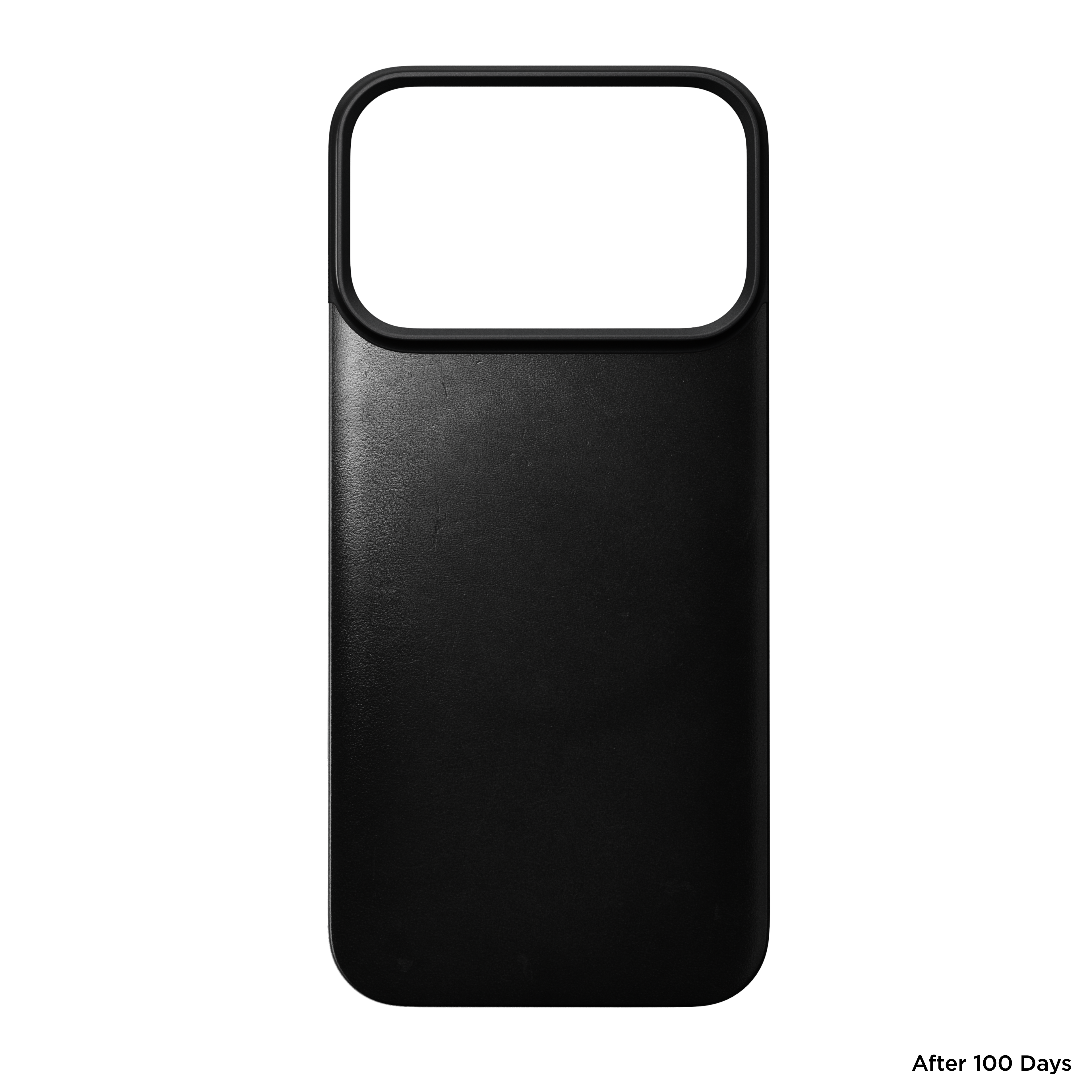 Magnetic Leather Back Case for iPhone 18 Pro 6.3 in Black Horween - Nomad