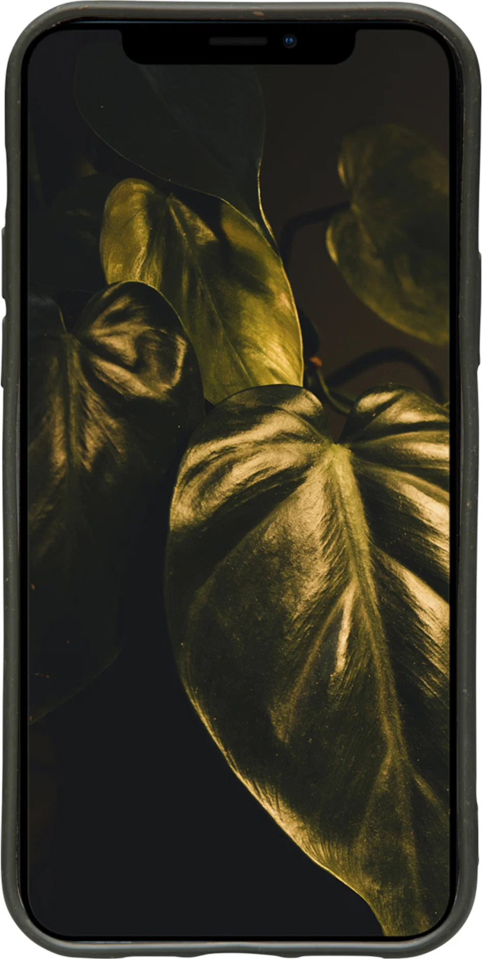 Dbramante1928 Grenen Case iPhone 12 Pro Max - Dark Olive Green