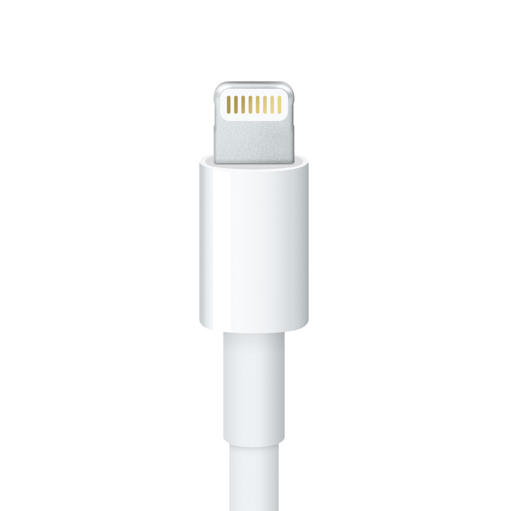 Apple Official Lightning to 30 Pin adapter - White