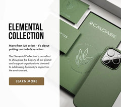 Caudabe Sheath Precise Case MagSafe iPhone 17 Pro Max 6.9 - Eucalyptus Green